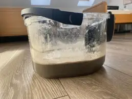 schaum2